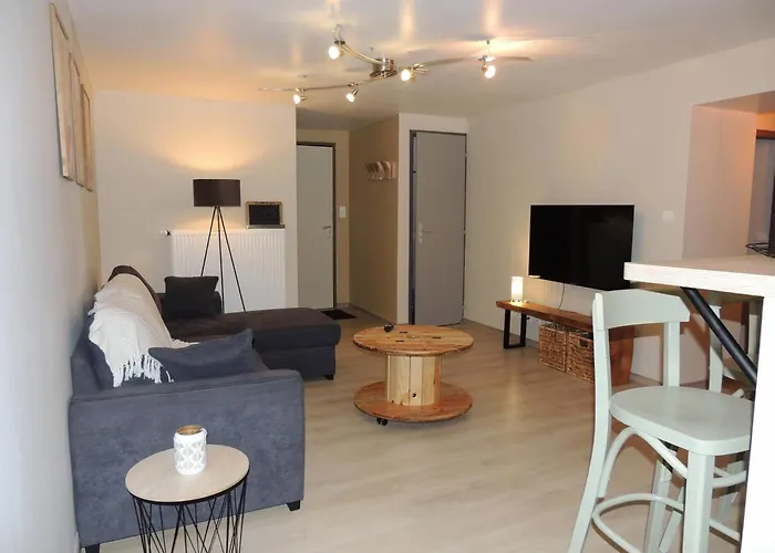 Cocon De La Belle De Vosges 3 Apartment *