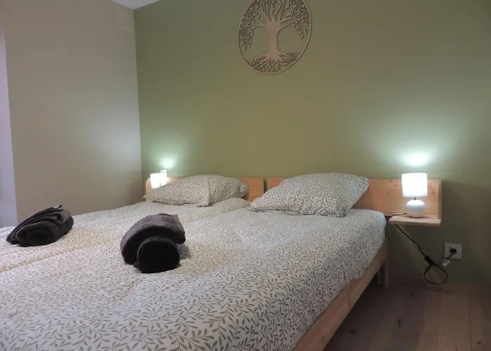 Cocon De La Belle De Vosges 3 Apartmán Remiremont