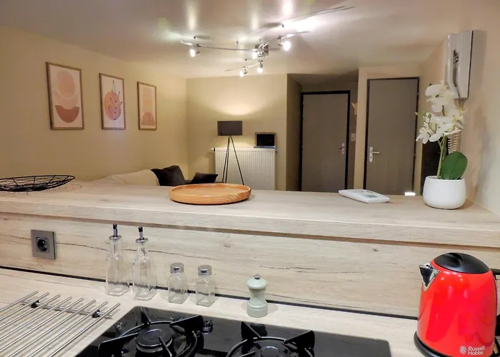 Cocon De La Belle De Vosges 3